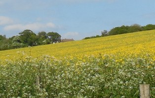 Bramblings Care Home, Hartley, Kent